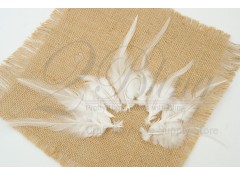 Loose Feather, Coque Rooster, White, Short  (Pack of 20)